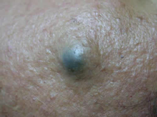 DSCN2099.jpg